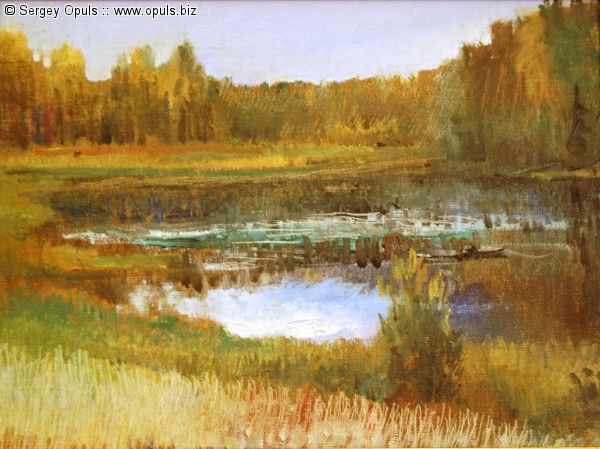 Озеро дальнее. Ханнила